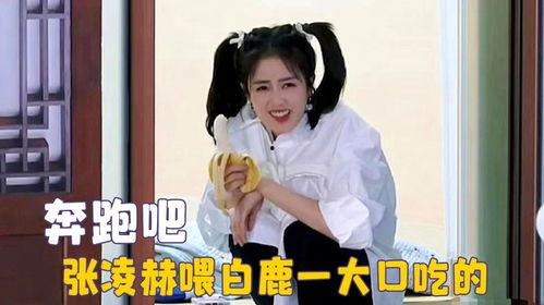 娱乐吃瓜酱白鹿